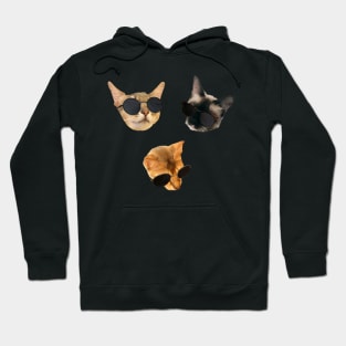 Cats with Sunglasses Hoodie